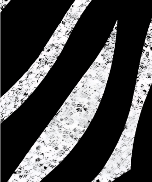 Untitled design (15)