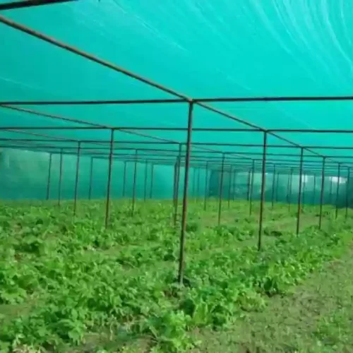 shade nets